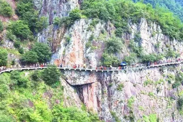 全民剧本大师内置菜单